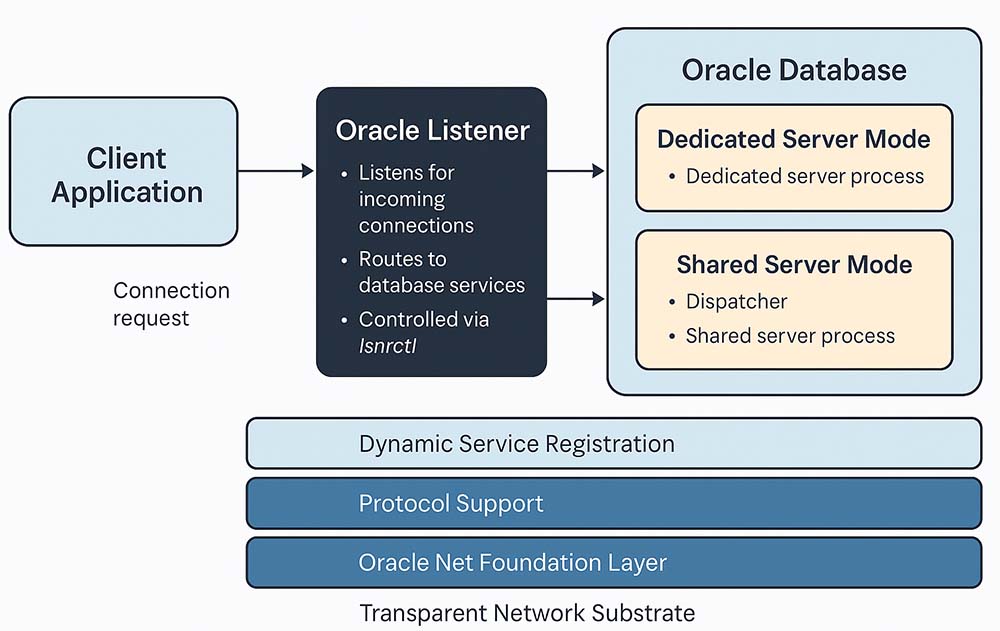 Oracle Listener: Dedicated and Shared Server Modes