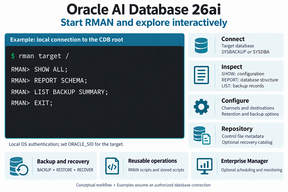 Oracle 26ai RMAN interactive startup, target connection, configuration inspection, backup records, and recovery features