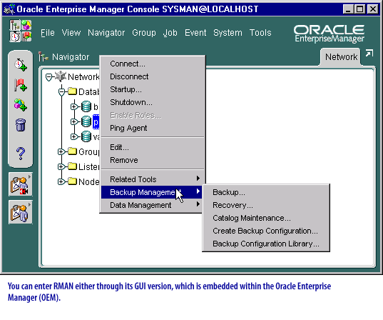 You can enter RMAN either through the GUI version, which is embedded with the Oracle Enterprise Manager (OEM)
