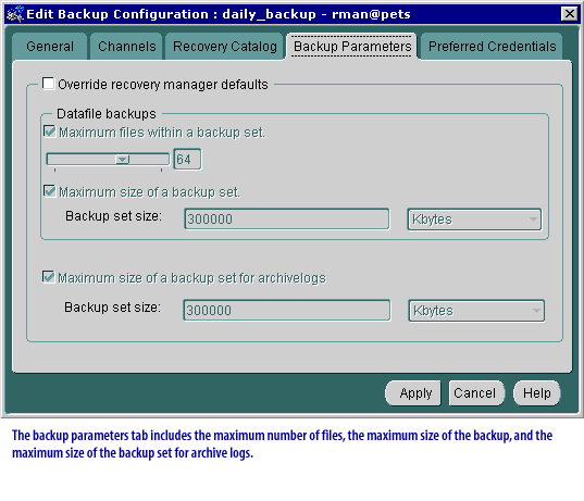 RMAN Navigation 9