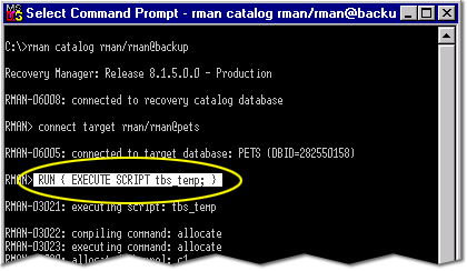 4) The script starts with RUN statement, which specifies that the following script must be executed. Then, specify where the backup must be saved.