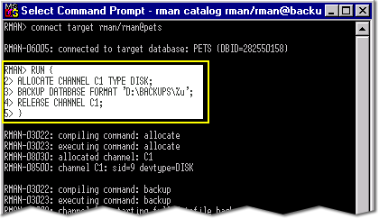 backup oracle run script scripts executing executed specifies starts statement must following which