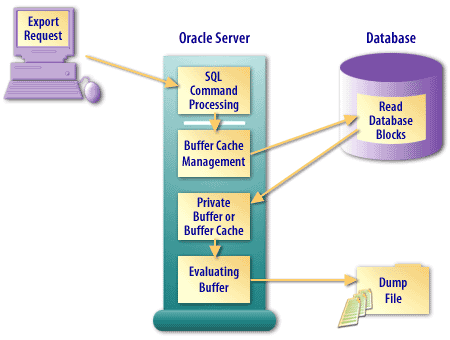 Oracle connection path