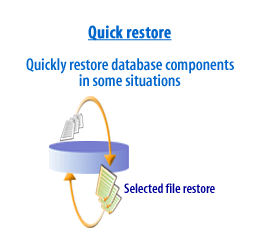 Quickly restore database components in some situations.