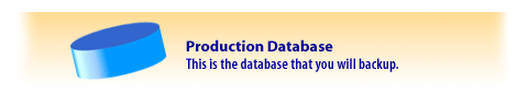 Production Database - This is the database you will back up
