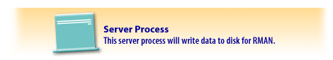 Server Process - This server process will write data to a disk for RMAN