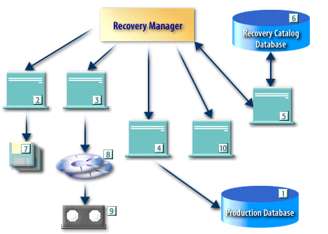 rman backup recovery components oracle