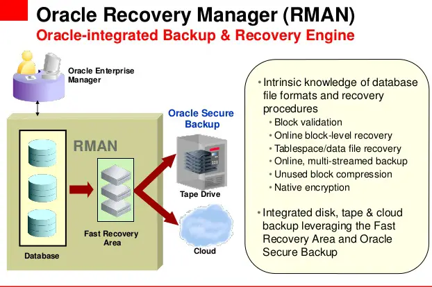 Oracle Recovery Manager