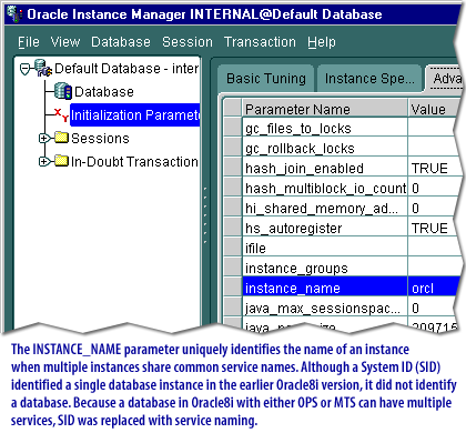 1) The INSTANCE_NAME parameter uniquely identifies the name of an instance when multiple instances share common service names.