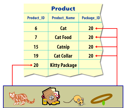 3) A new product (kitty package) is added with a PRODUCT_ID of 20.