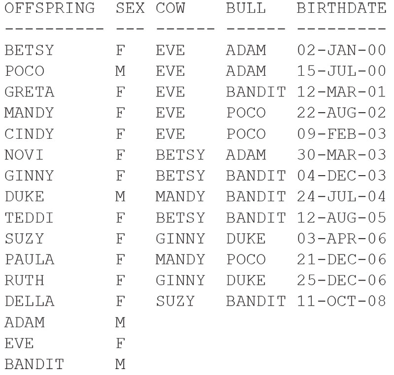 Result Set for the Query listed above