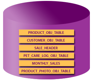 FactFile database consists of the following 6 tables. 1)  PRODUCT_OBJ_TABLE, 2)CUSTOMER_OBJ_TABLE, 3)SALE_HEADER, 4) PET_CARE_LOG_OBJ_TABLE, 5) MONTHLY_SALES, 6) PRODUCT_PHOTO_OBJ_TABLE