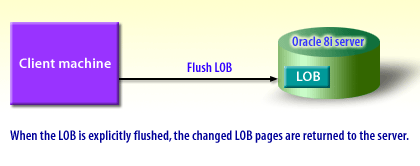 When the LOB is explicitly flushed, the changed LOB pages are returned to the server.