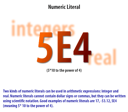 1) Two kinds of numeric literals can be used in arithmetic expressions: 1) integer and 2) real. Numeric literals cannot contain dollar signs or commas, but they can be written using scientific notation.