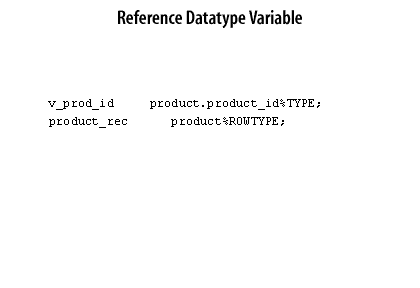 4) A  reference datatype variable holds a value, called pointer, that designates other program items.
