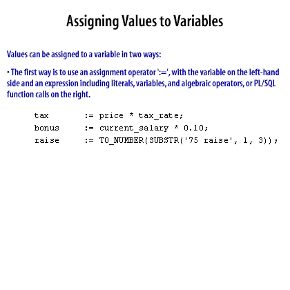 pl sql variable assignment