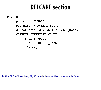1) In the DECLARE section, PL/SQL variables and the cursor are defined.