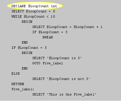 @LoopCount is declared as an integer variable that will be used in the rest of the statement