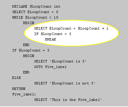 The @LoopCount variable is incremented by one, then tested. When @LoopCount equals 5,
 the BREAK statement is executed.