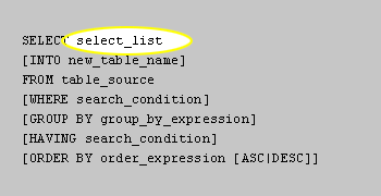 1) SQL Select 1