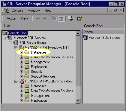 Below the console root is a list of SQL Servers; each with its own folder. Most often, you will want to look at the database foler.