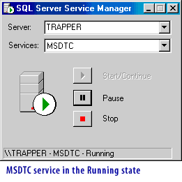 MSDTC service in the Running state.