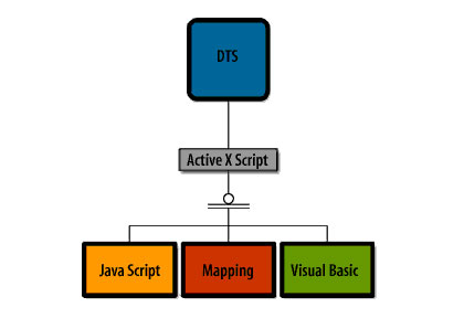 DTS can perform ActiveScript transformation using Javascript based transformation, Visual Basic based transformation, or simple field to field mapping transformation.