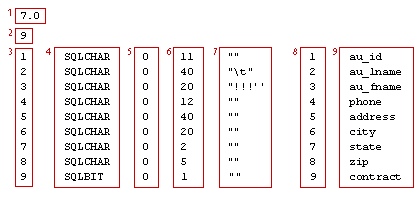 How a file should be formatted when inserting into SQL-Server database