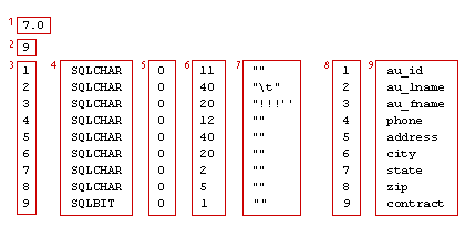 How a file should be formatted when inserting into SQL-Server database