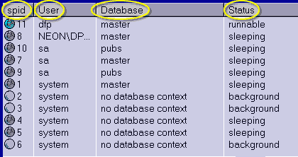 Spid: The system process identifier, User: The user that is connected