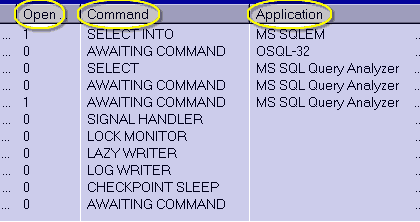 Open Transaction: The number of nested transactions that the connection has open