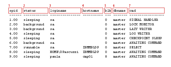 sp_who output