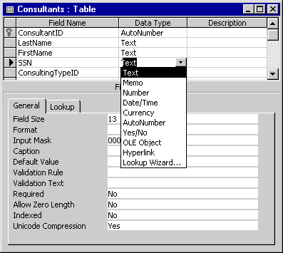 Access Data Types