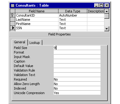 First, a field called SSN is added to the Consultants table.