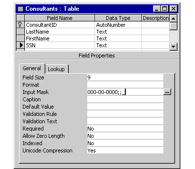 When entering information, here is what the input mask for the field will look like.