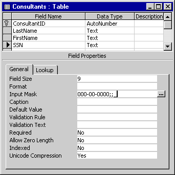 Consultants: Table consisting of 1) Field Name 2) Data Type 3) Description