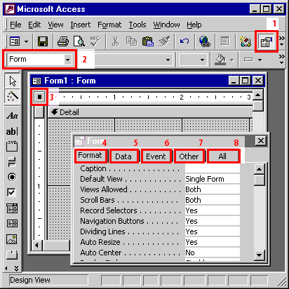 Access Form Properties