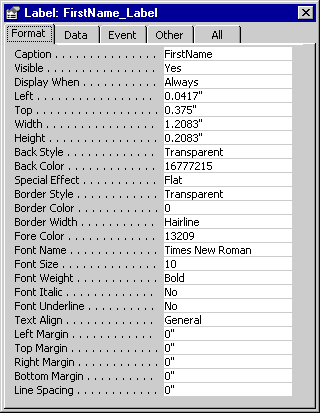 Format tab of the property sheet