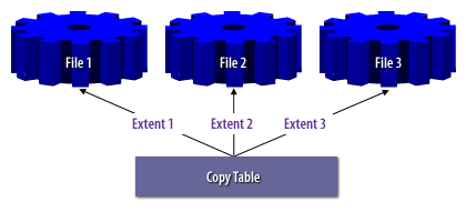 Strip Information