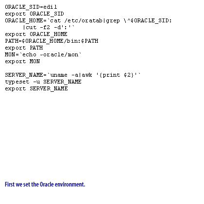 First we set the Oracle environment.