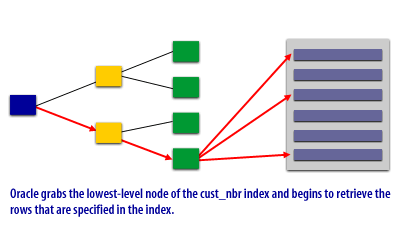 Oracle grabs the lowest-level node of the cust_nbr idnex and begins to retrieve the rows that are specified in the index.