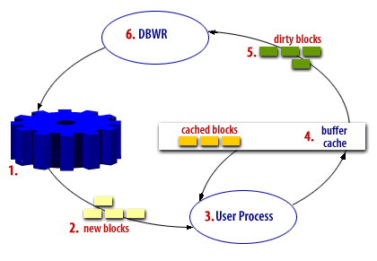 Oracle Database Blocks 1. Permanent Residence 2.New data blocks 3. User Process 4. Oracle data buffer cache 5. modified but not written to disk 6. DBWR